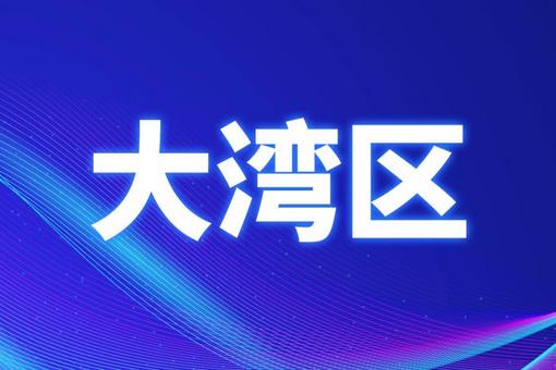 澳门与香港，探索管家婆精准服务的实用释义、解释与落实