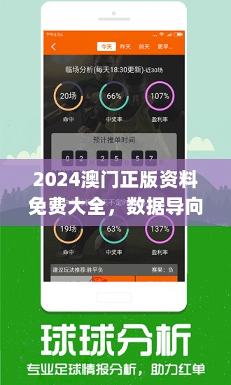 管家婆一肖一码100%准资料大全，富强解答、深入分析与展望落实