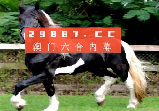 澳门与香港答家婆一肖一码一中一特，词语释义解释与落实展望