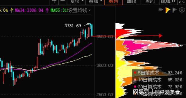 关于最准的生肖预测——和平解答、解释与未来展望