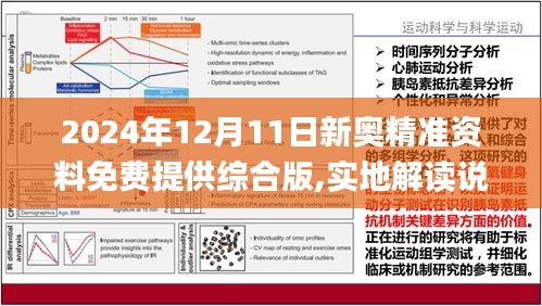 新奥精准资料免费大全与富强解答展望，深化理解与实施策略