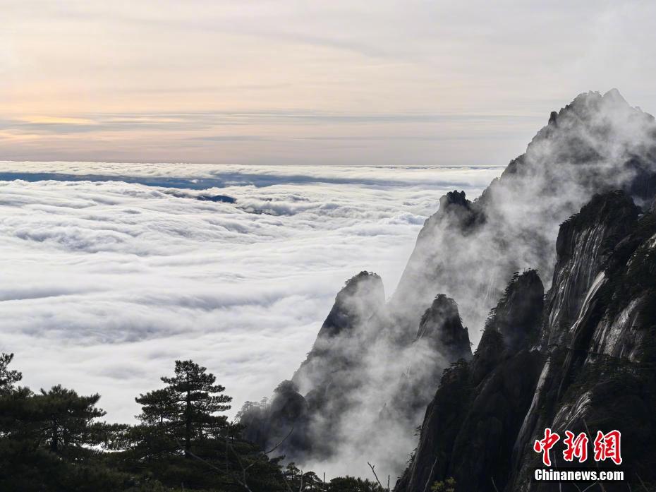 安徽黄山最新情况，自然美景与人文魅力的融合