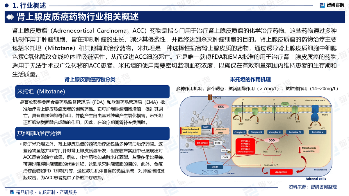 问质瘤最新药物研究进展及其前景展望