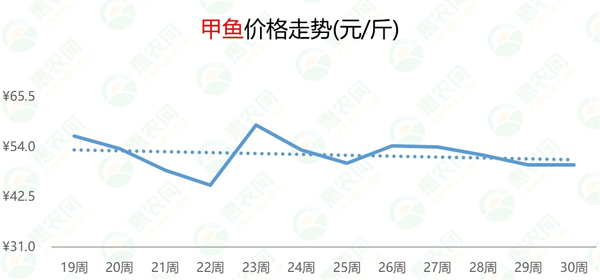 甲鱼最新消息，行业动态与市场趋势分析