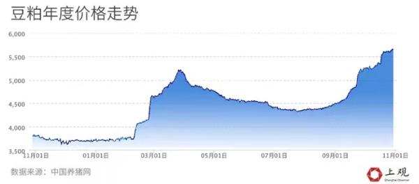 豆粕价格行情最新动态分析