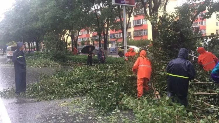 最新的台风动态，影响与应对之策