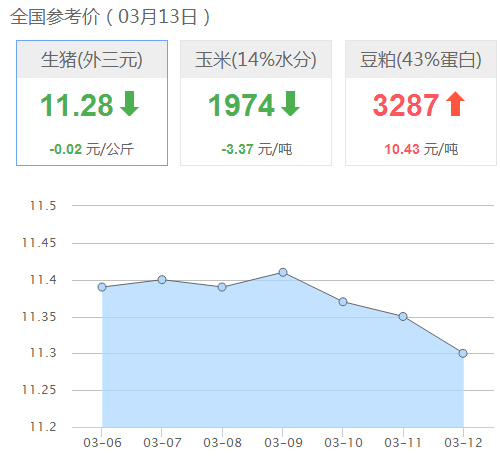 全国最新猪价今日分析